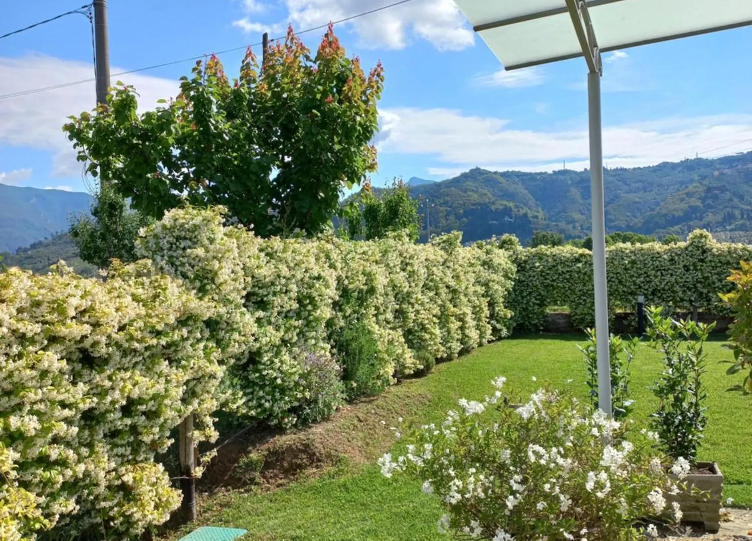 Villa Rufus House Mommio